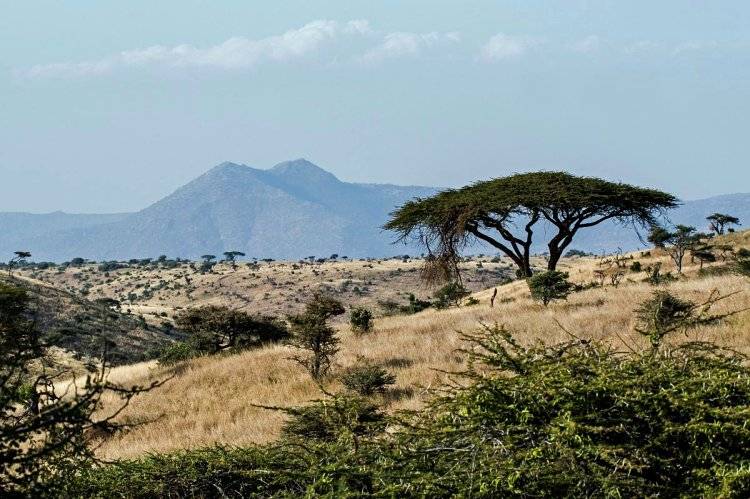 Aberdare National Park: Kenya's Misty Mountain Wild