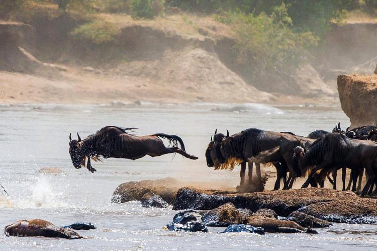 Crossing the Kenya-Tanzania Border on Safari: Namanga and Isebania
