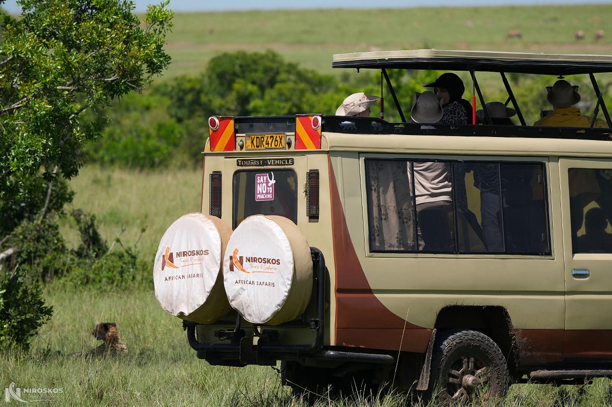 Vehículo de safari Niroskos de techo abierto aparcado en la sabana de Kenia, turistas con sombreros en el techo y una cría de guepardo en el pasto