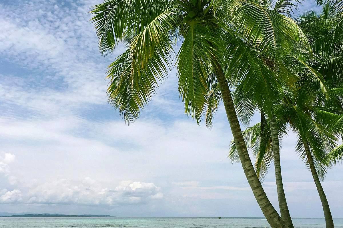 Low tide on Diani's seventeen-kilometre beach | Niroskos