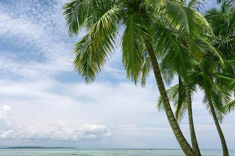 Diani and the South Coast: Kenya's Best Beach Escape