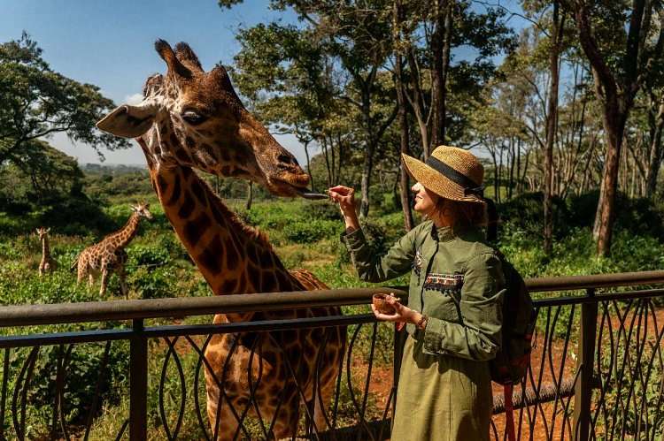 Is Kenya Safe to Visit in 2026? An Honest Local Answer