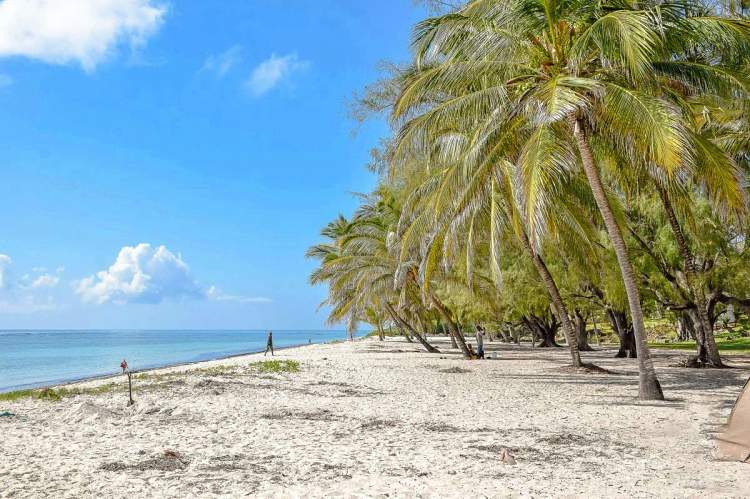 The 10-Day Honeymoon: Bush and Beach in One Trip