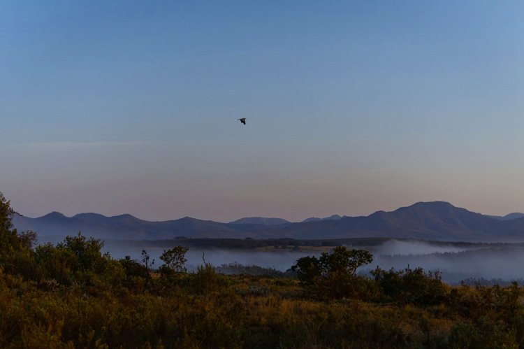 The Multi-Generational Safari: One Trip, Three Generations, Zero Compromises