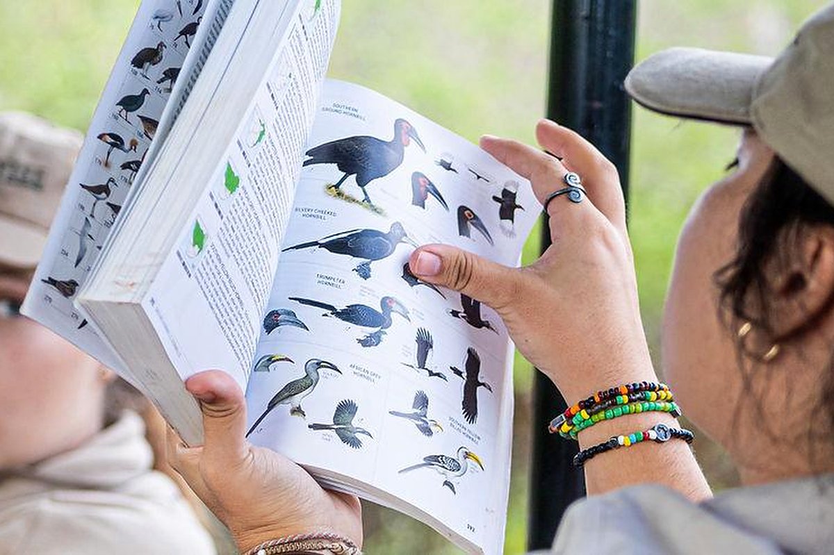Handen houden een open vogelveldgids op safari vast die soortenpagina's toont; persoon draagt kleurige kralenarmbanden