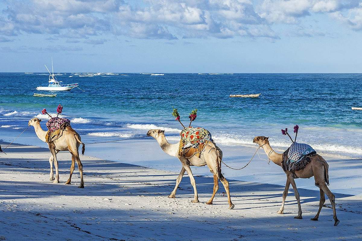 Diani Beach, Kenya – En av Afrikas vackraste kustdestinationer
