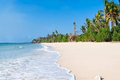 Powder-white sand and palm-lined Diani Beach on the Indian Ocean, the safari's coastal escape