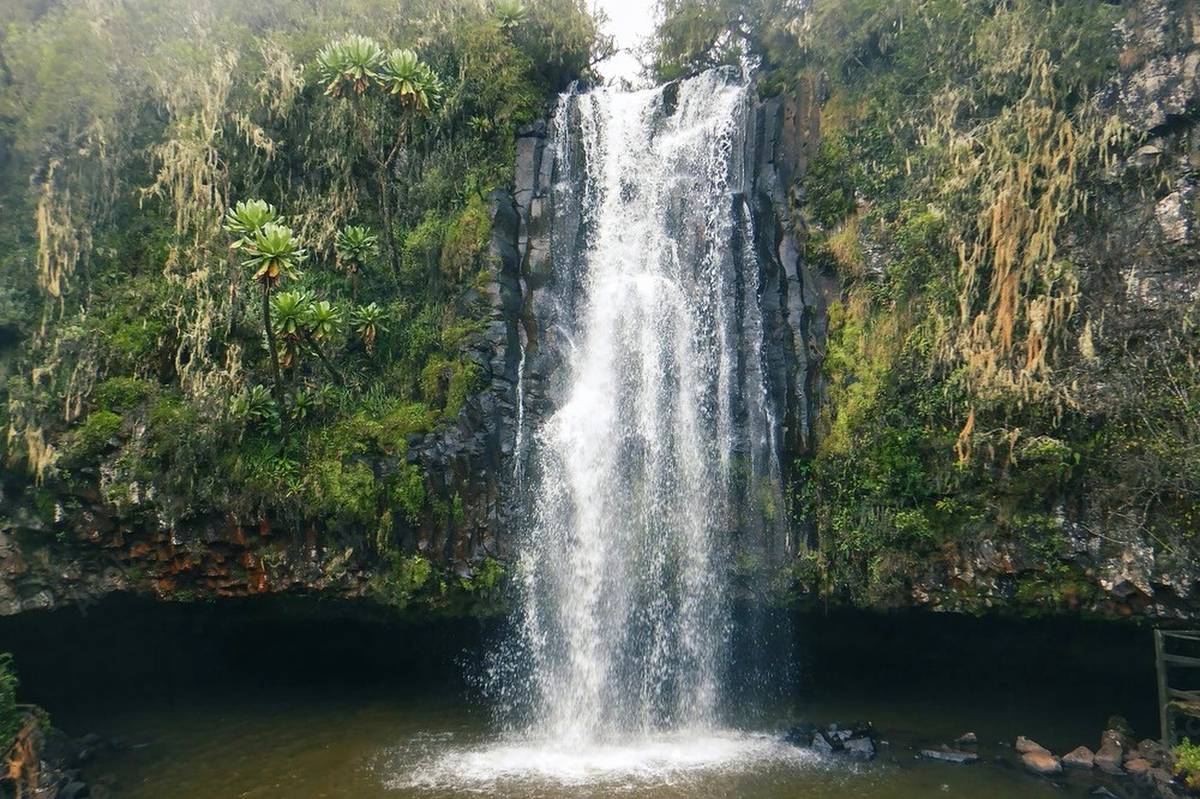 Waterfall plunging into a rocky pool surrounded by mossy cliffs and montane vegetation in Aberdare