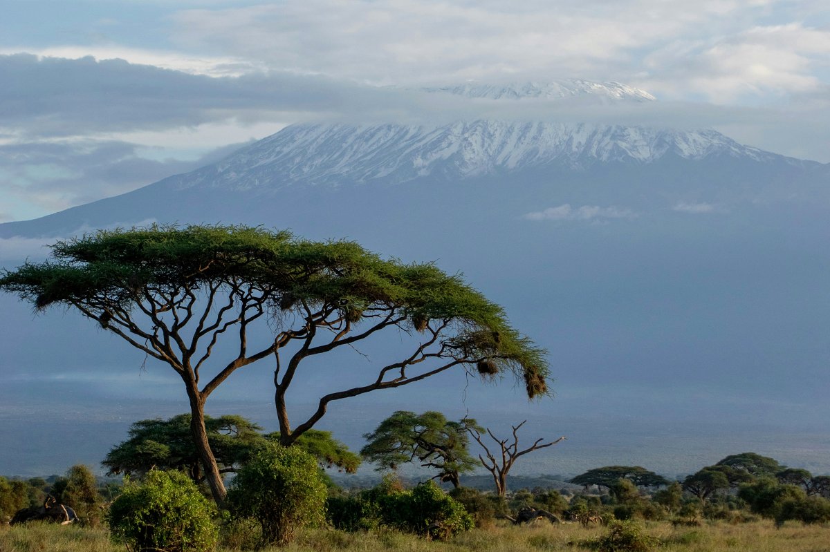 Snow-capped Mount Kenya framed by acacia trees — iconic landscape from the 3-Day Aberdare & Mount Kenya Safari from Nairobi