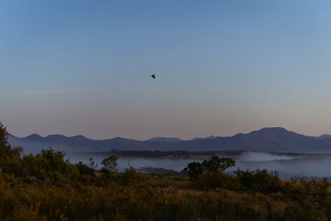 Morning mist over scrubby plains and distant hills with a lone bird — 8-Day Meru to Lake Nakuru safari from Nairobi