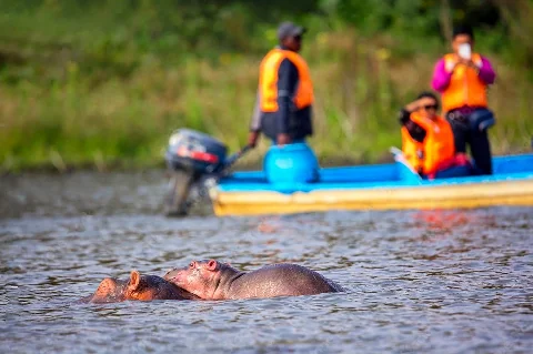 Hippos partially submerged near a tour boat with guides and tourists in life jackets — the Lake Naivasha boat safari leg of the Crescent Island day tour