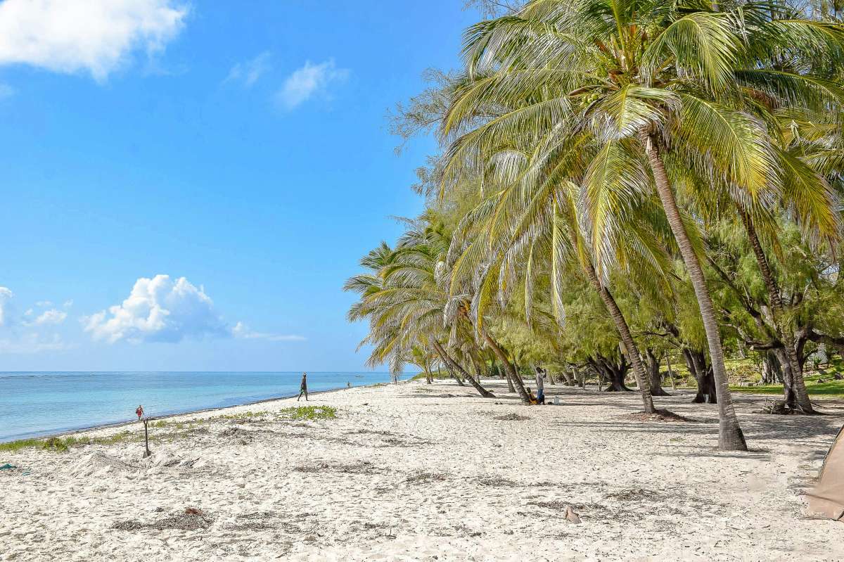 Palm-lined white sand and turquoise water at Diani Beach, a serene tropical shoreline