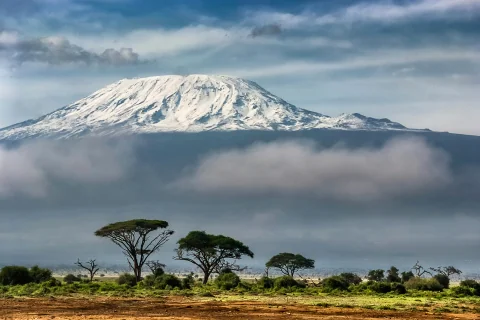Snow-capped Mount Kilimanjaro rising above acacia trees and misty plains near Amboseli