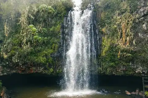 Waterfall cascading into a forested pool in the misty Aberdare highlands